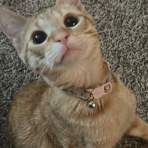 Meet your Posher, Naomi